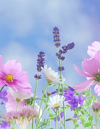 Margarete R. West Obituary